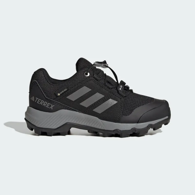 Adidas Terrex GORE-TEX Hiking Core Black / Grey Three / Core Black (IH5511)