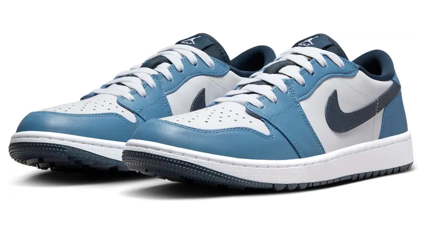 air-jordan-1 DD9315-115
