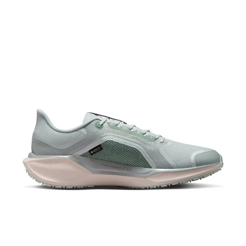 Nike Air Zoom Pegasus 41 Gore-Tex Light Pumice Metallic Silver (FQ1356-007)