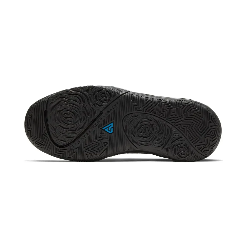 Nike Zoom Freak 1 Black Multi Photo Blue (BQ5633-004)