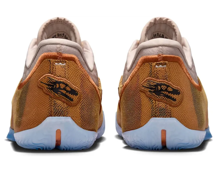 nike-lebron IH1513-602