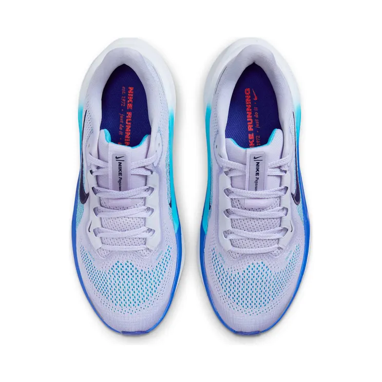 nike-air-zoom FN5041-004