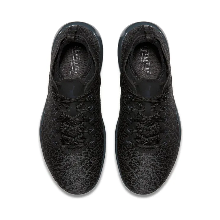 jordan-trainer-1-low 845403-002