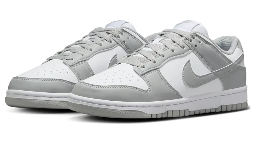 nike-dunk DD1873-113