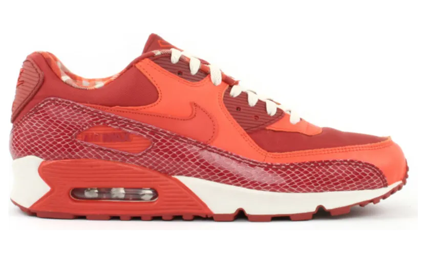 Nike Air Max 90 Steve Nash