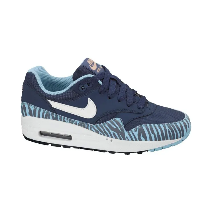 Nike Air Max 1 Zebra Blue (555766-402)