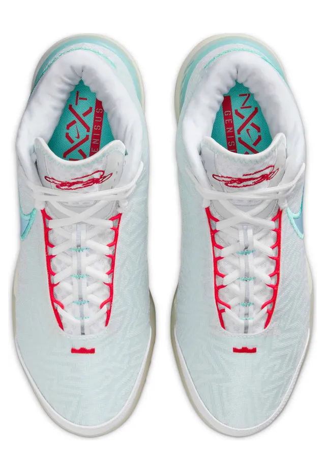 nike-lebron HF0712-101