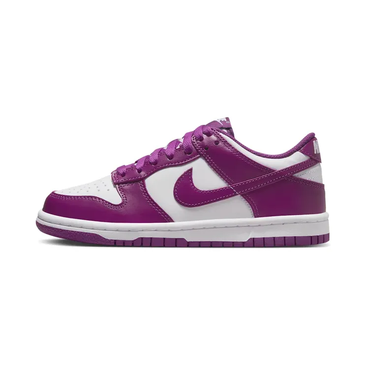 Nike Dunk Low GS “White / Viotech” (FB9109-110)