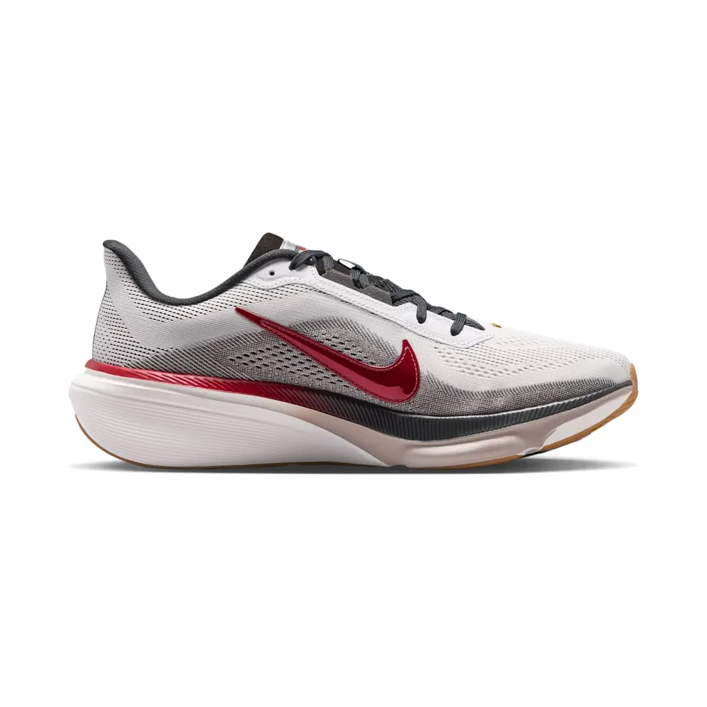Nike Air Zoom Pegasus 42 Now & Then Pack (IV5659-121)