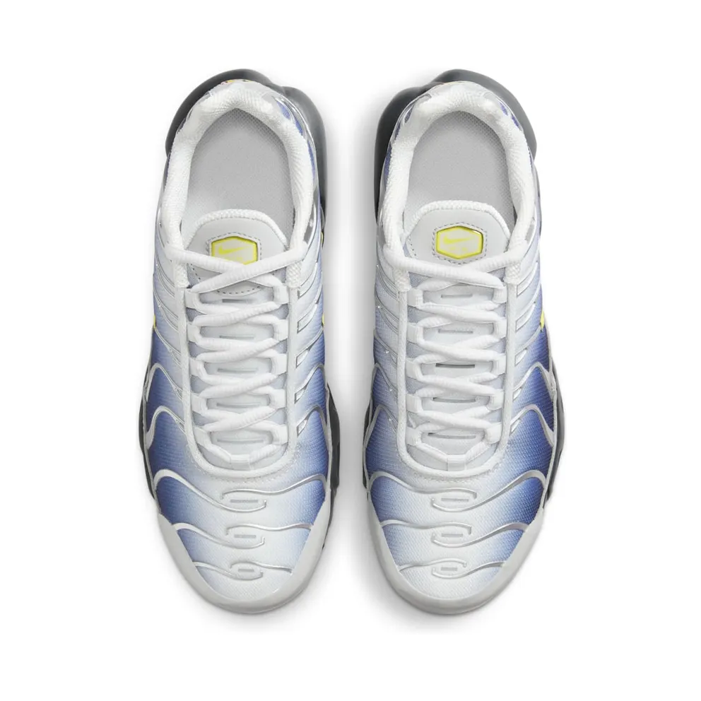 Nike Air Max Plus Obsidian Silver (HF0030-001)