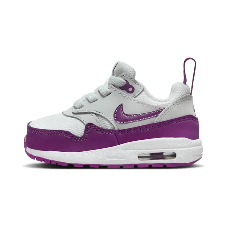 Nike Air Max 1 Summit White/Wit/Viotech (DZ3309-109)