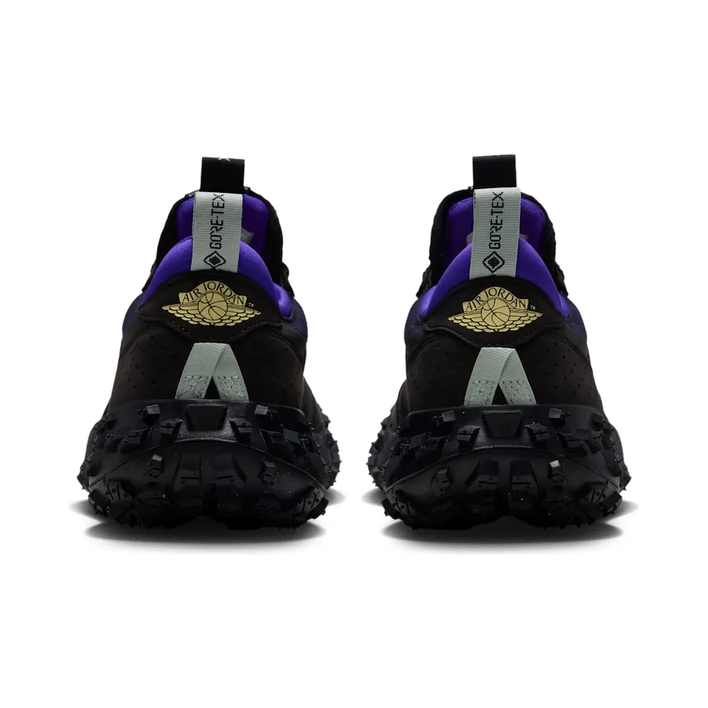 Air Jordan 1 Low Element – “Black / Dark Concord / Purple Dynasty / Celery” (FV4227-004)