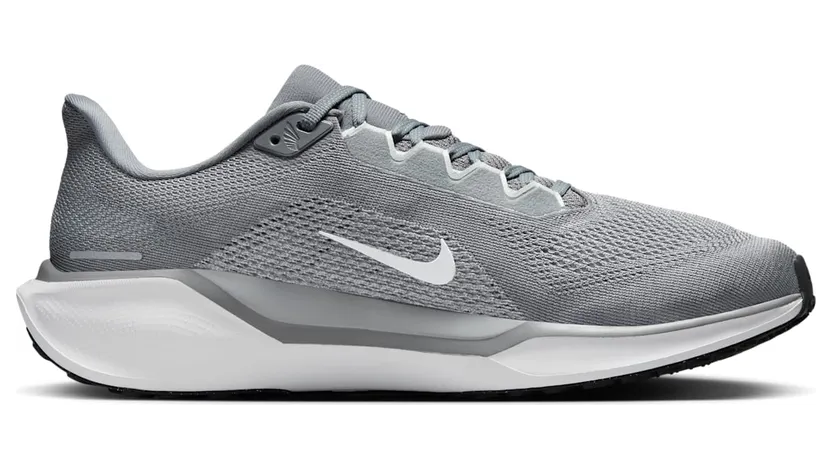 nike-air-pegasus FD2722-009
