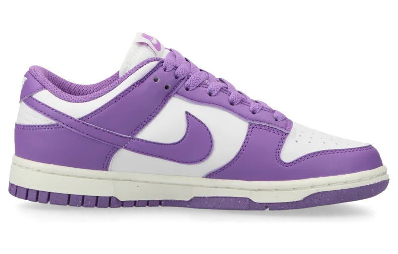 nike-dunk DD1873-108