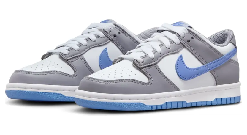 nike-dunk FB9109-121