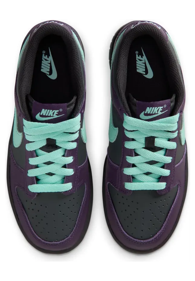 nike-dunk FB9109-013