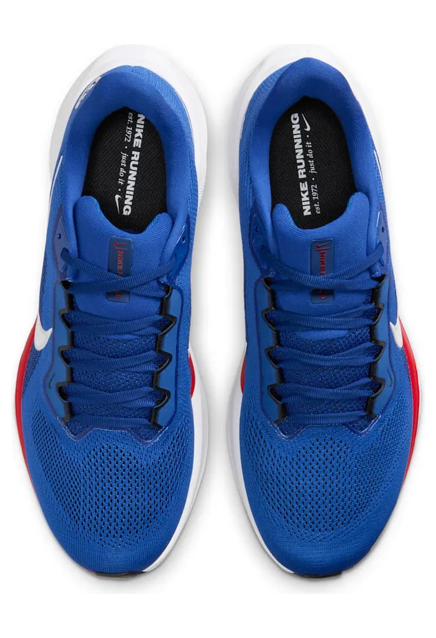 nike-air-zoom IB3203-400