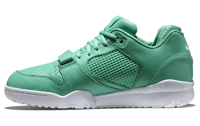 nike-air-trainer 708459-300