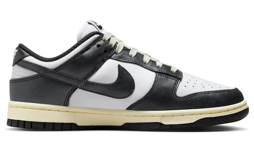 nike-dunk FQ8899-100