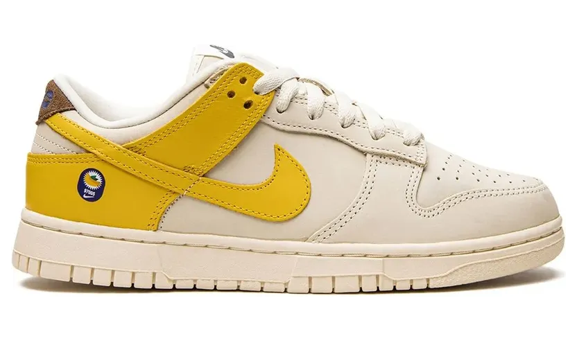nike-dunk DR5487