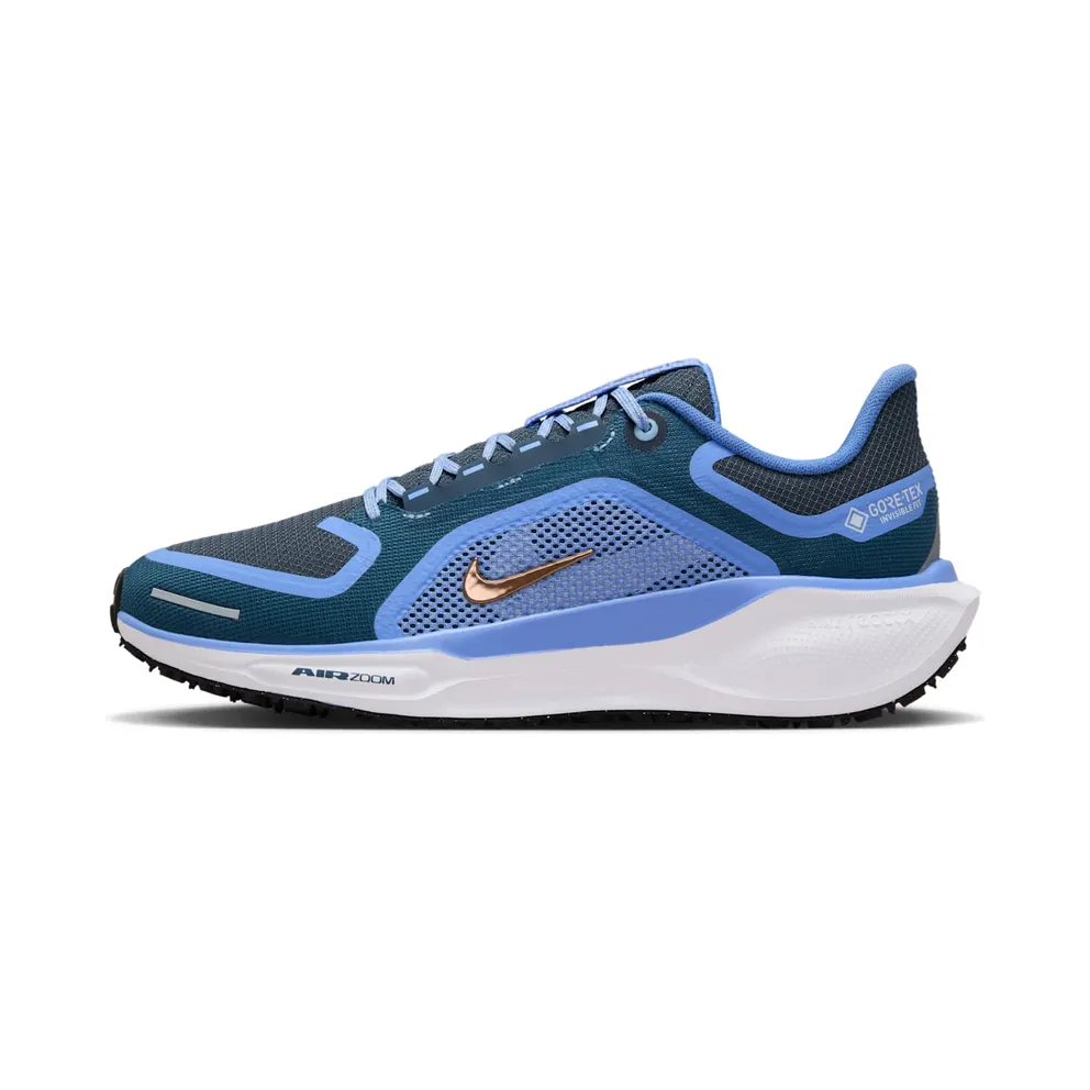 Nike Air Zoom Pegasus 41 Gore-Tex Cobalt (FQ1357-400)