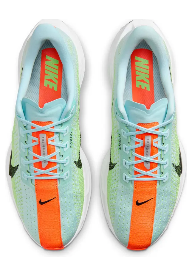 nike-air-pegasus FQ7262-400
