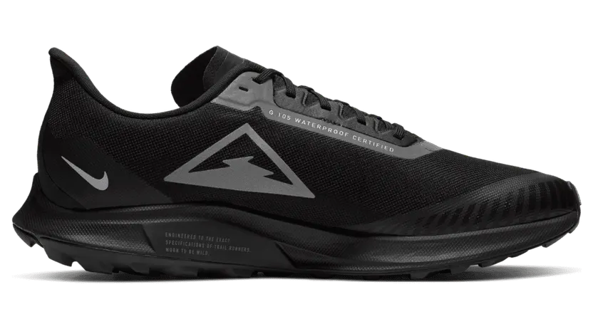 Nike Zoom Pegasus 36 Trail Gore-tex Black