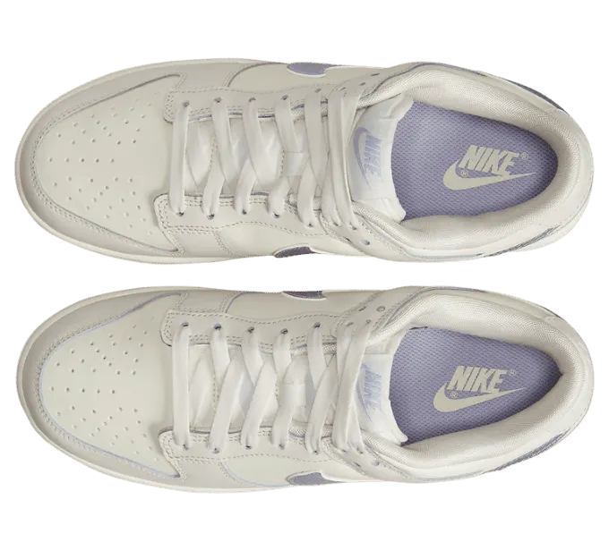 nike-dunk DX5930-100