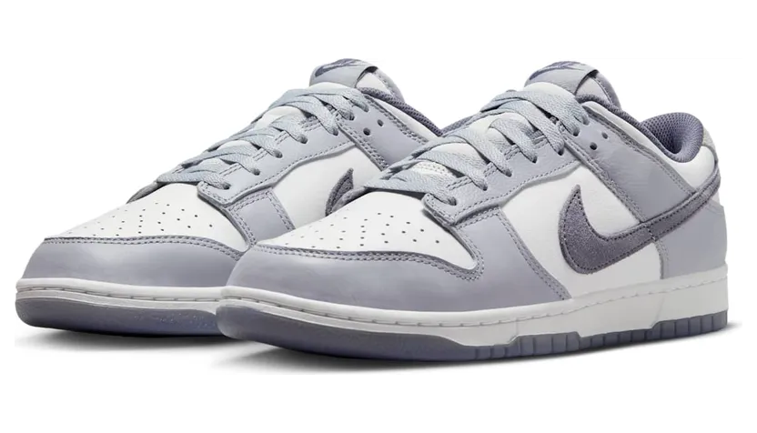 nike-dunk FJ4188-100