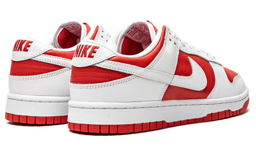 nike-dunk DD1391-600