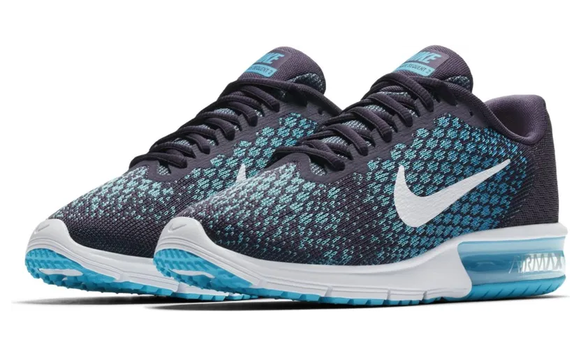 Nike Air Max Sequent 2 Dark Raisin (W)