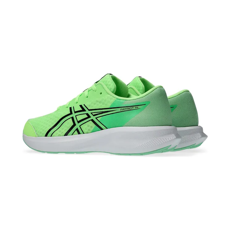 asics-patriot 1014A392-300