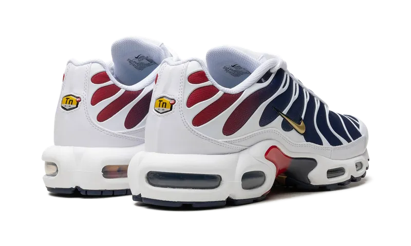 Nike Air Max Plus “PSG” (FZ4776-100)