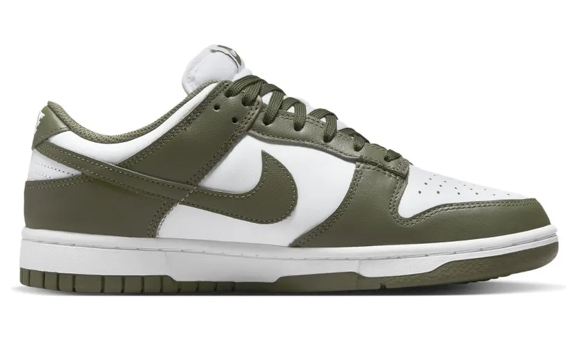 nike-dunk DD1503-120