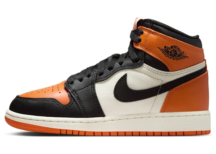 Air Jordan 1 High FD1437-008