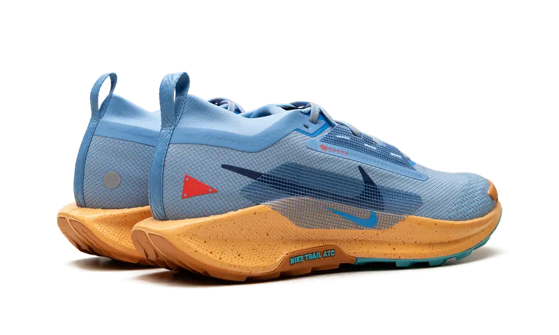 Nike Pegasus Trail 5 Gore-Tex “Blue Beyond” (FQ0908-400)