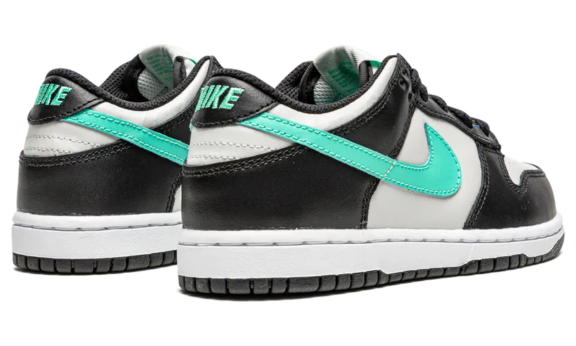 nike-dunk CW1588-003
