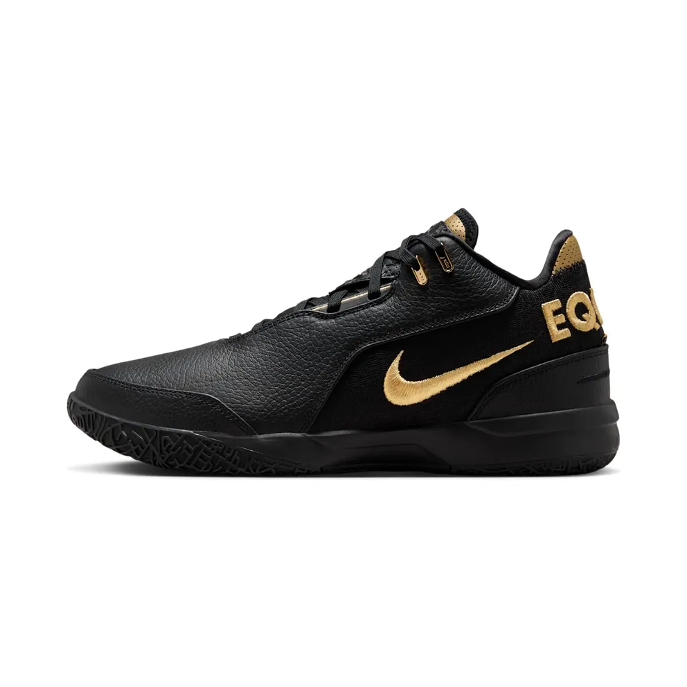 Nike Zoom LeBron NXXT Gen “Equity” (FJ1566-103)