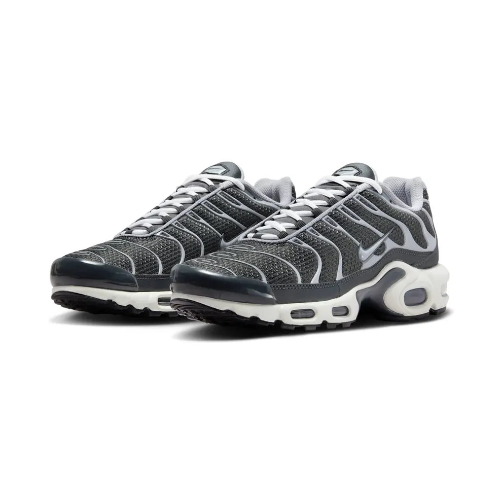 Nike Air Max Plus Greyscale Cool Grey (DZ2655-001)