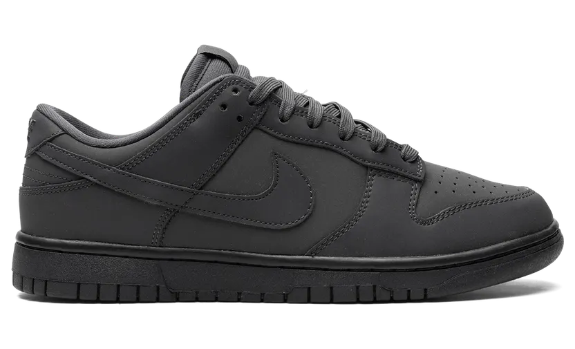 nike-dunk FZ3781-060