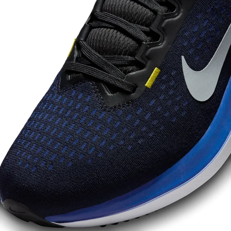 Nike Winflo 10 Black (DV4022-005)