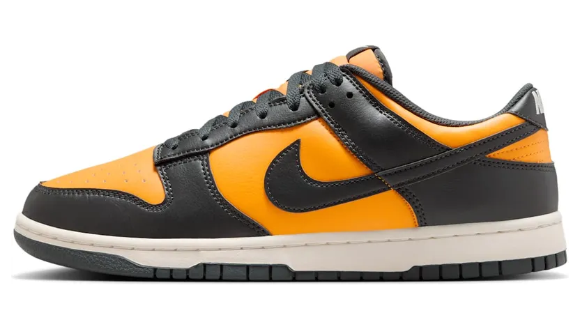 Nike Dunk Low HF5441-700