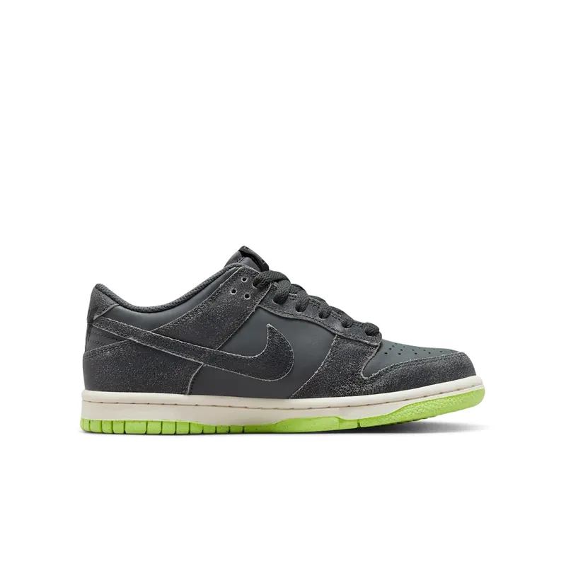 Nike Dunk Low SE Older Kids’ Grey (DQ6215-001)