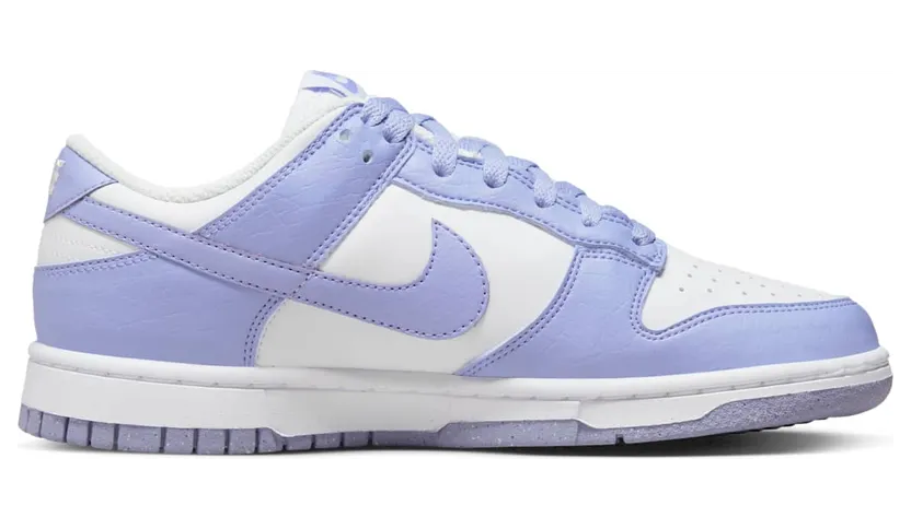 nike-dunk DN1431-103