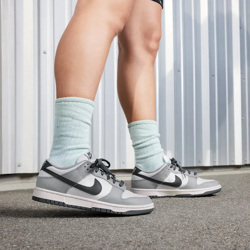 Nike Dunk Low Light Smoke Grey (DD1503-117)