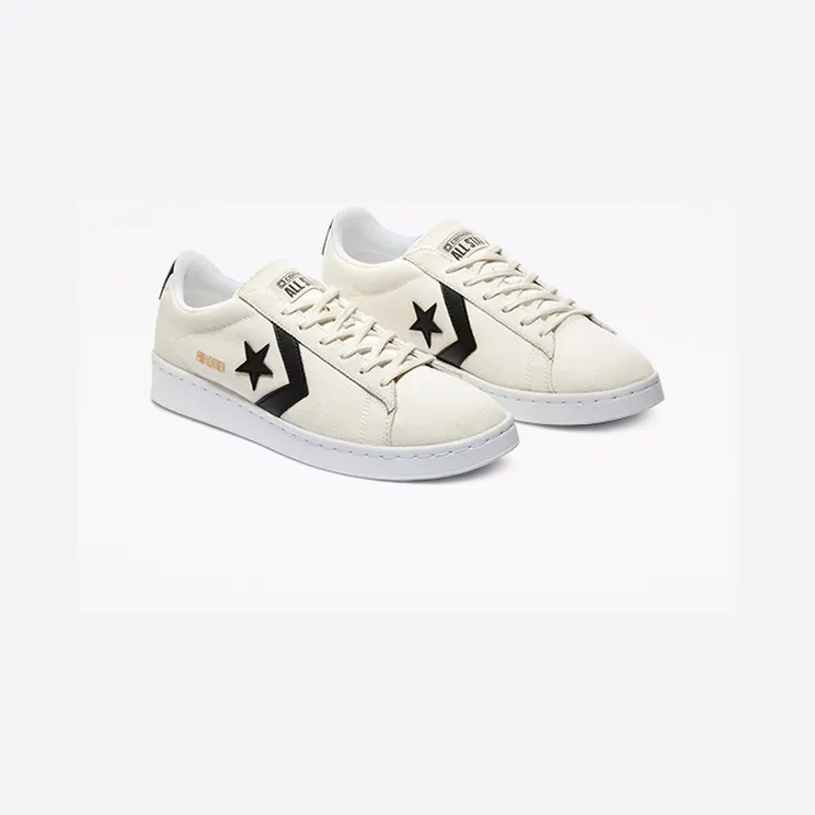 converse-pro-leather 170752C