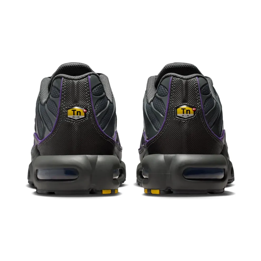 Nike Air Max Plus OG Iron Grey Wild Grape (HV8066-001)