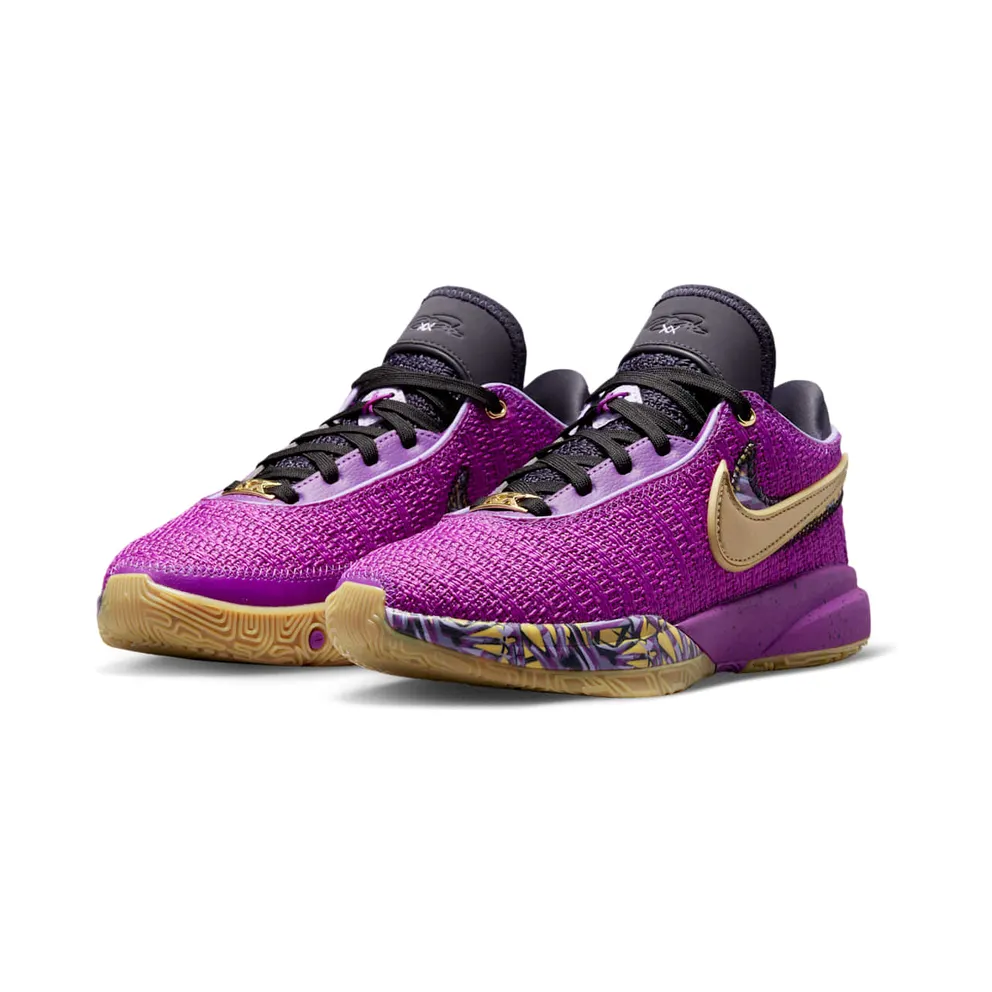 Nike LeBron 20 GS “Young Heirs” (FD0207-500)