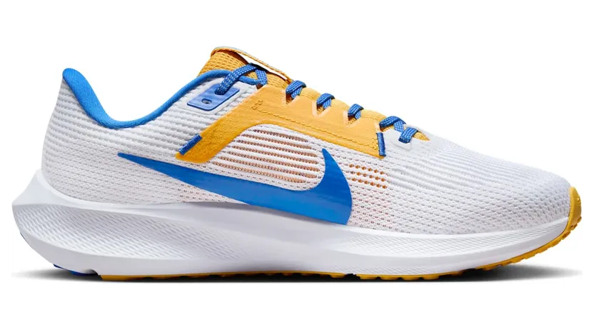 nike-air-pegasus DZ5988-100