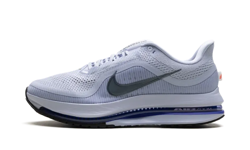 Nike Pegasus Premium “Persian Violet” (HQ2592-004)
